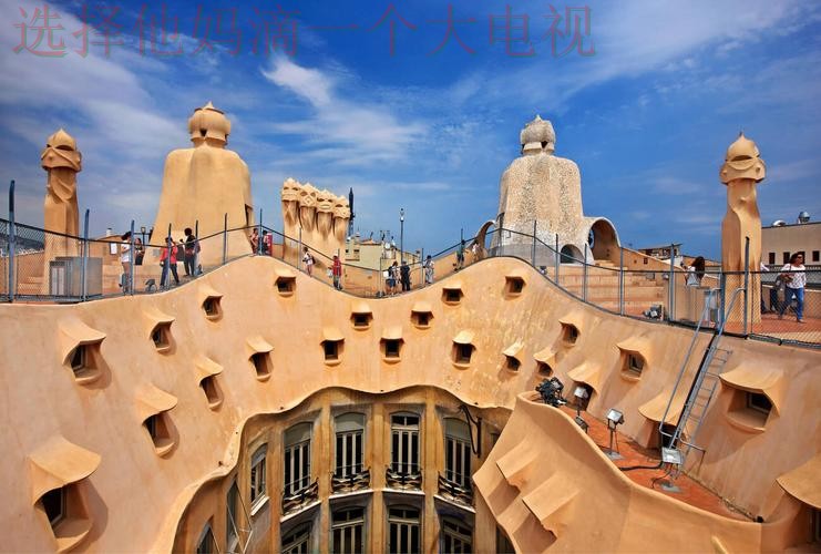 探索半岛综合版的全面魅力